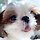 김또띠 프로필