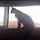 kate 프로필