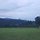 정성기 프로필