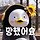 김아리 프로필