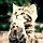 하늘수빈 프로필