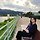 JulieMin 프로필