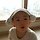최재호 프로필
