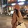 ny 프로필