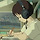 pinocchio 프로필