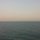 곰이 프로필