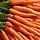 JS P 프로필