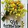 김덕주 프로필