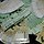 송두원 프로필