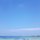 김명지 프로필