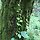 고운쌀 프로필