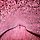 빈효선 프로필