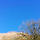 최윤진 프로필