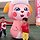 조희 프로필