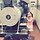 Ann 프로필