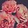 Mayleen 프로필