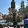 Sky Lake 프로필