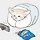 광호 프로필