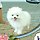이영준 프로필