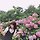 Heeyoung 프로필