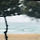 주돌이 프로필