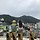 yyellow 프로필