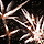 레쎄똥베 프로필