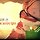 경화 프로필
