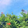 푸링 프로필