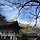김지연 프로필