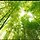 깨알 프로필