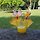 무지개 프로필