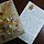 김영미 프로필