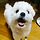 문yleb 프로필