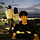 윤민 프로필