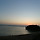 보리 프로필