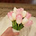 tulip 프로필