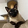 Renne 프로필