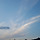 rye 프로필