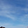 신디씨 프로필