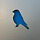 Bleubird 프로필