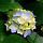좌슨 프로필