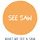 SEE SAW 프로필