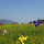봄바람 날리다 프로필