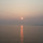 미운오리새끼 민 프로필