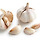 Garlic 프로필