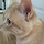 Groovycat 프로필