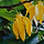 일랑 프로필