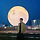 Chris Lee 프로필