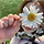 Sole 프로필